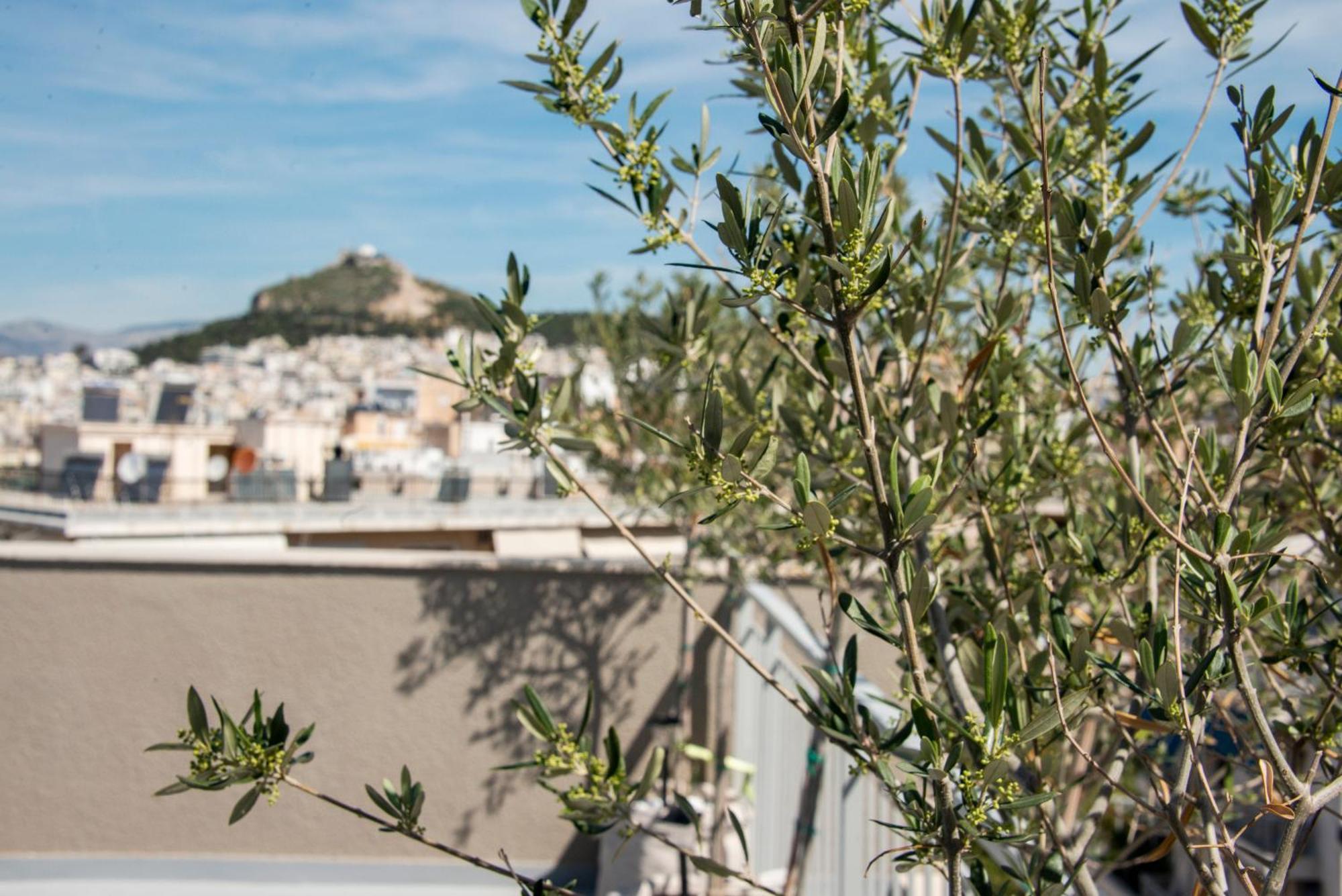 Apartament The Athenian Oasis Zewnętrze zdjęcie